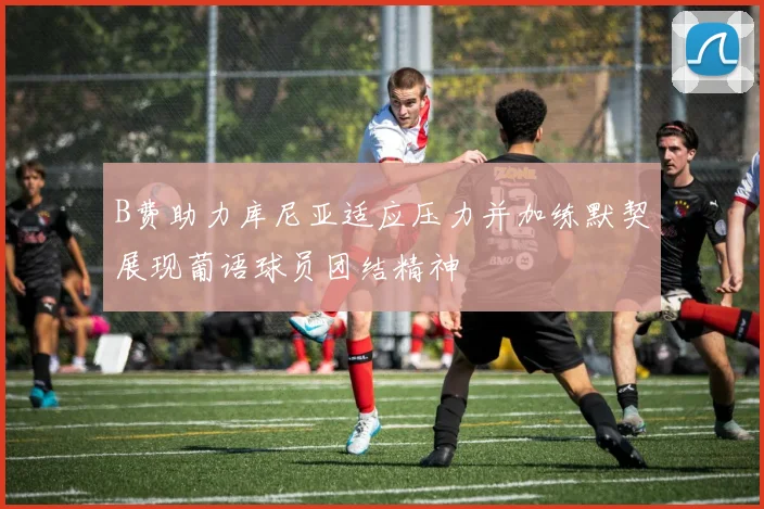 B费助力库尼亚适应压力并加练默契展现葡语球员团结精神