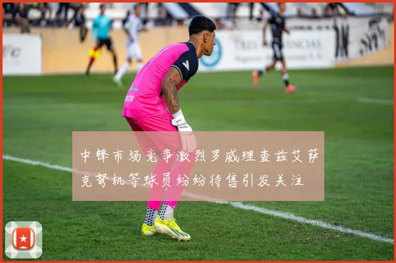 中锋市场竞争激烈罗威理查兹艾萨克弩机等球员纷纷待售引发关注